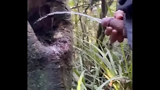 128 outdoor porn videos